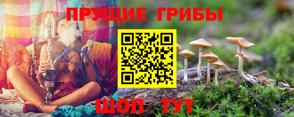 Галлюциногенные грибы GOLDEN TEACHER Орск