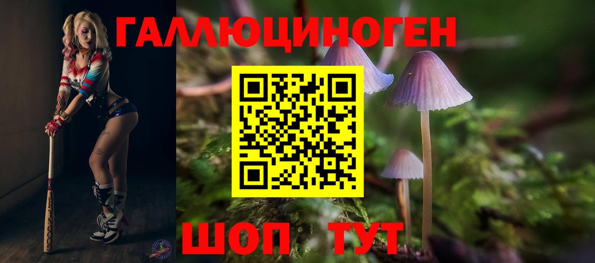 Псилоцибиновые грибы MAGIC MUSHROOMS  Галлюциногенные грибы Psilocybe  Орск  Вход с VPN 